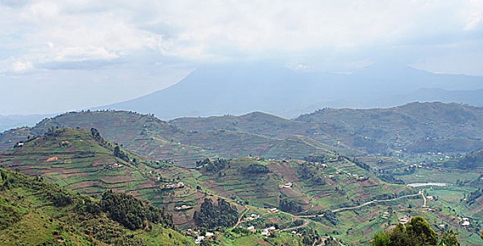 维龙加山,乌干达