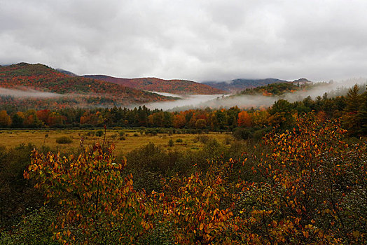 秋天,雾,阿第伦达克山,北部地区,纽约,美国,北美