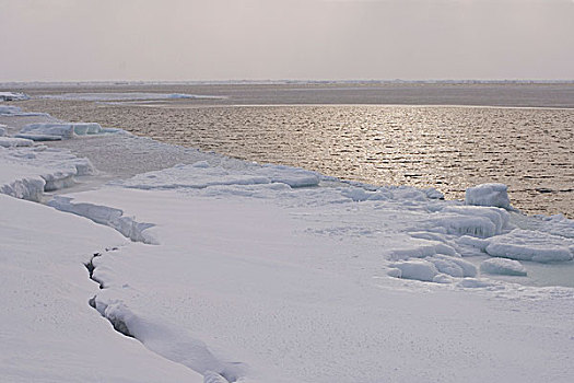美国,阿拉斯加,希望,楚科奇海,海冰,缝隙,浮冰