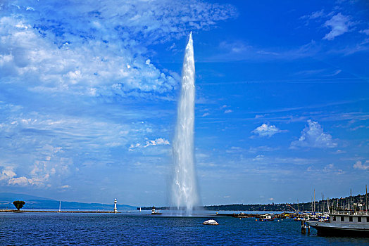 日内瓦,湖水,喷气式飞机,瑞士,莱曼
