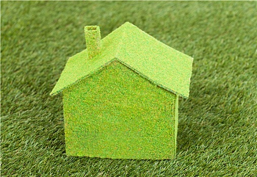 特写,绿色,生态,房子,青草