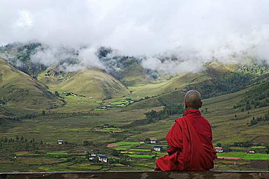 不丹,乡村,僧侣,房子,农田