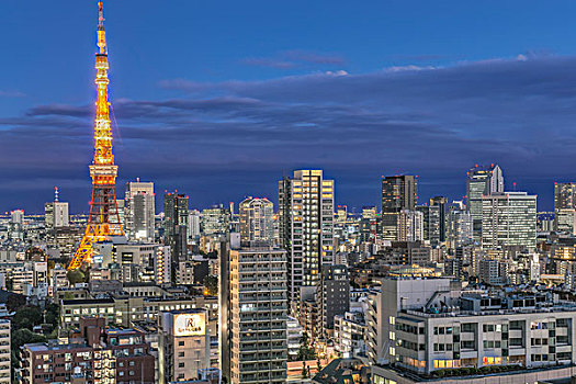 日本,东京,天际线,黎明,大幅,尺寸