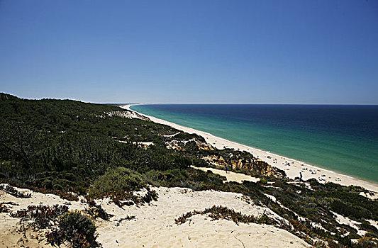 海滩,大西洋海岸,靠近,葡萄牙,欧洲