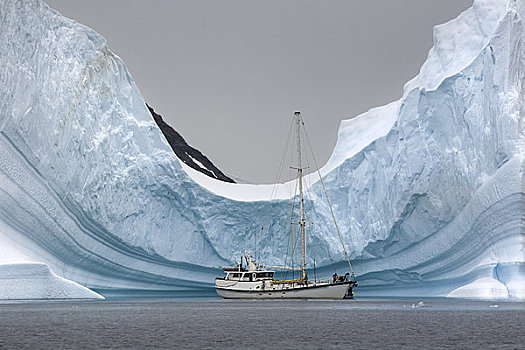 游艇,锚定,冰山,南极