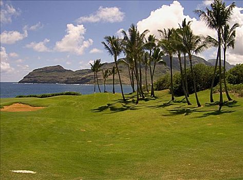 高尔夫球场,考艾岛,夏威夷,美国