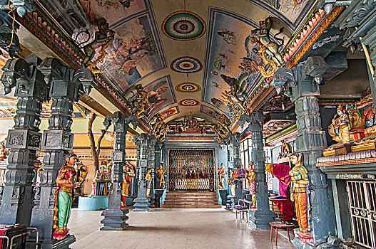 室内,花园,庙宇,印度教,科伦坡,首都,斯里兰卡