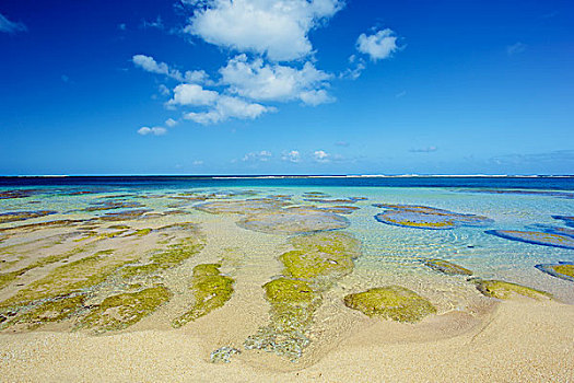 珊瑚,表面,浅水,隧道,海滩,考艾岛,夏威夷,美国