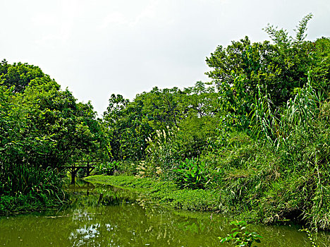 杭州西溪湿地