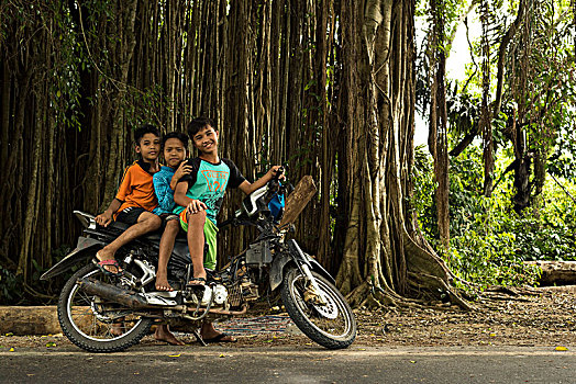 三个,小男孩,摩托车,背景,菩提树