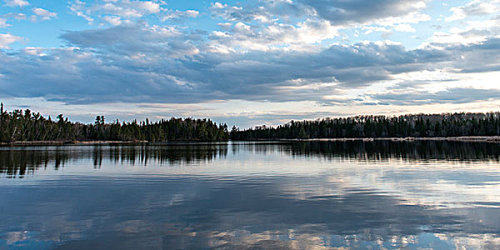 反射,云,水上,湖,木头,安大略省,加拿大