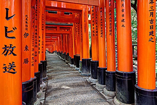 日本,京都,大门,神社,画廊