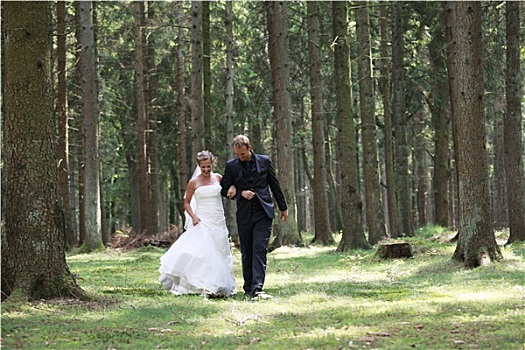 新婚夫妇,树林,林间空地