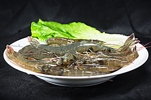 淡水虾
