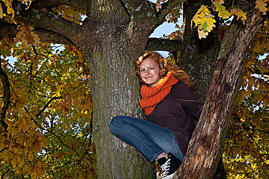 红发,女孩,坐,树,秋天,叶子