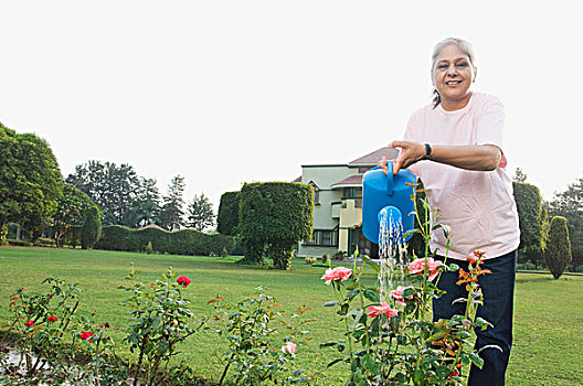 女人,浇水,玫瑰,植物,新德里,印度