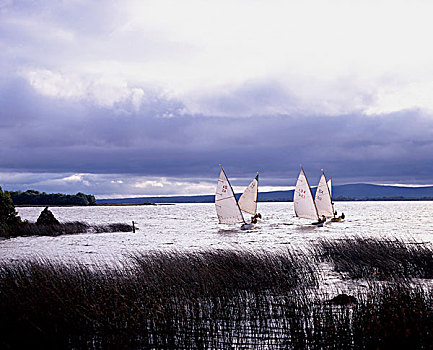 小艇,湖,靠近,蒂帕雷里,爱尔兰