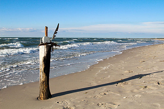 木杆,沙子,海滩,波罗的海,旅行,度假,娱乐