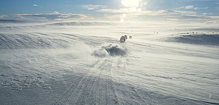 多,野外,交通工具,驾驶,积雪,高地,冰岛