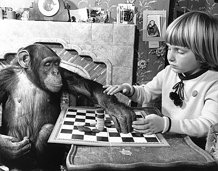 女孩,黑猩猩,玩,游戏,英格兰,英国