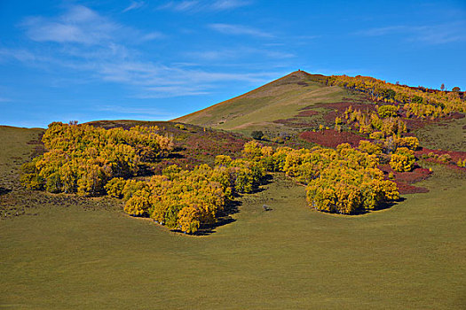 山丘上的秋
