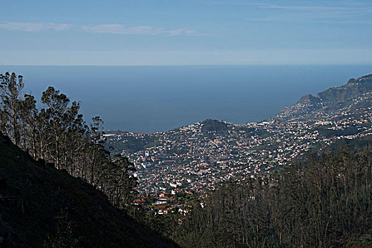 风景,俯视,丰沙尔,马德拉岛,葡萄牙