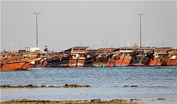 独桅三角帆船,港口,卡塔尔,中东