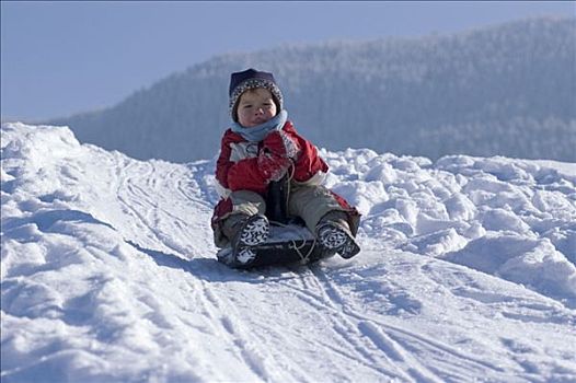 孩子,雪撬,滑雪橇,雪橇