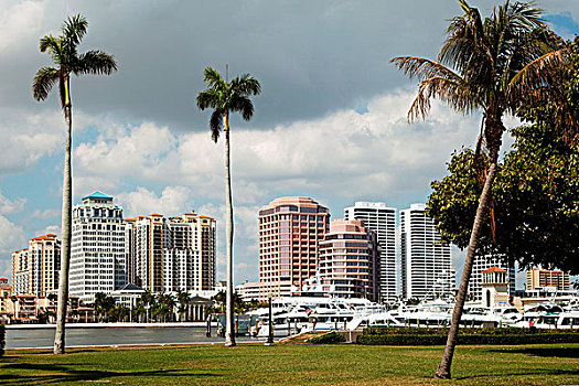 市区,西部,棕榈海滩,城市天际线,框架,棕榈树