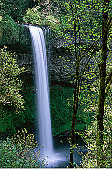 南,瀑布,银色瀑布州立公园,俄勒冈,美国