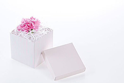 康乃馨,花,礼盒