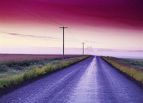 乡村道路,黎明,靠近,公园,艾伯塔省,加拿大