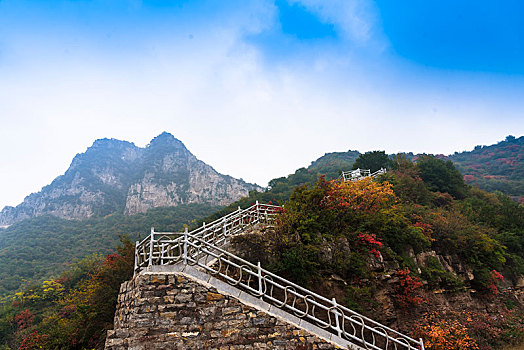 登山台阶