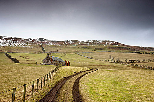苏格兰边境,苏格兰,轮胎印,道路,栅栏,房子,土地