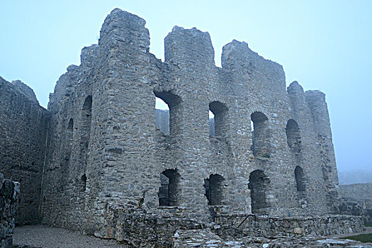 废墟,城堡,在雾,附近的,诺伊马克特在普法尔茨,巴伐利亚,德国
