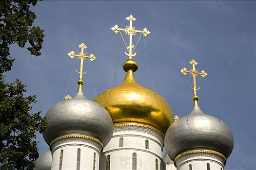 新,寺院,穹顶,大教堂,莫斯科,俄罗斯,东欧,欧洲