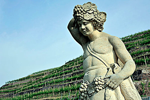 雕塑,正面,葡萄园,葡萄酒厂,城堡,德累斯顿,萨克森,德国,欧洲
