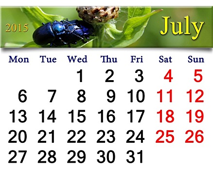 日程,七月,蓝色,甲虫