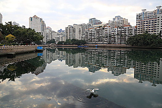 厦门,鼓浪屿,海,帆船,晨练