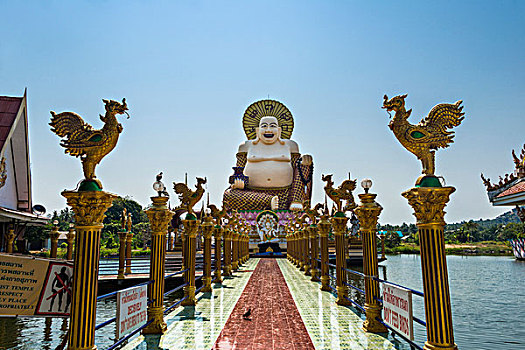 笑,佛,寺院,庙宇,禁止,苏梅岛,泰国,亚洲