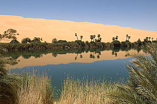 湖,撒哈拉沙漠,费赞,利比亚