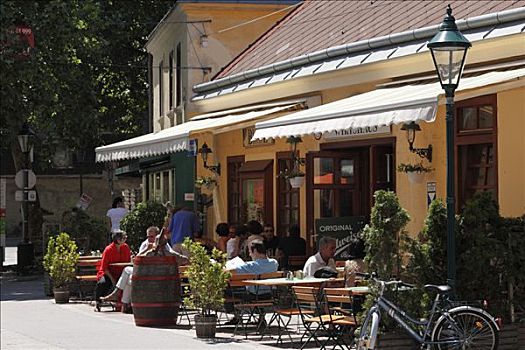 餐馆,维也纳,木头,下奥地利州,奥地利,欧洲