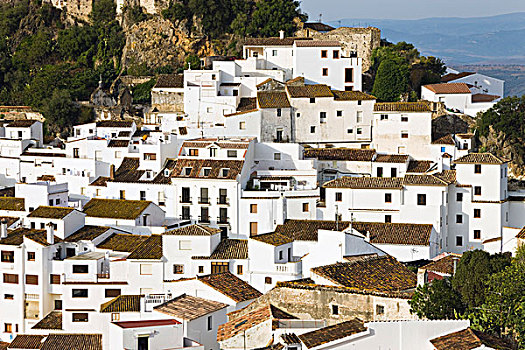 俯视图,乡村,卡塞雷斯,马拉加省,西班牙