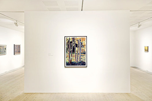 室內(nèi)展覽