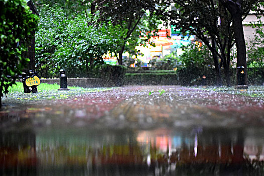 雨中