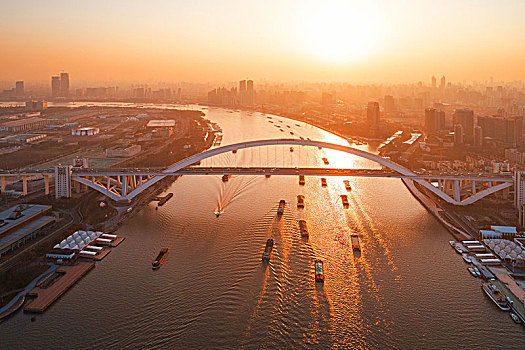 上海,桥,航拍