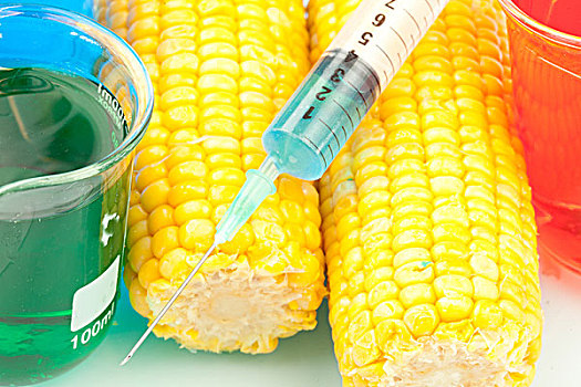 注射器,玉米,白色背景