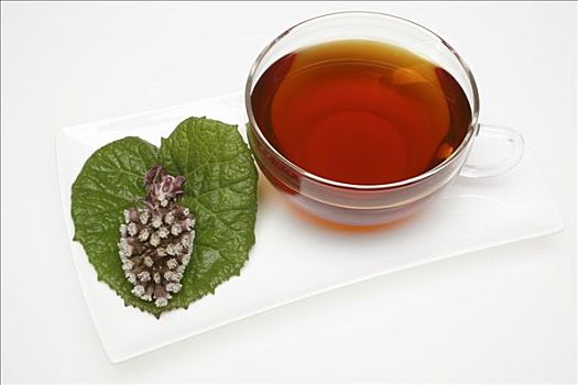 蜂斗叶属植物,茶
