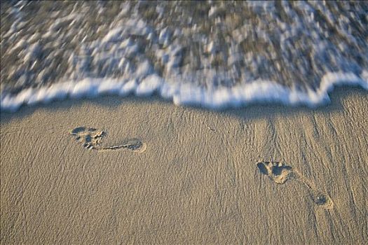 脚印,海滩,马达加斯加,非洲