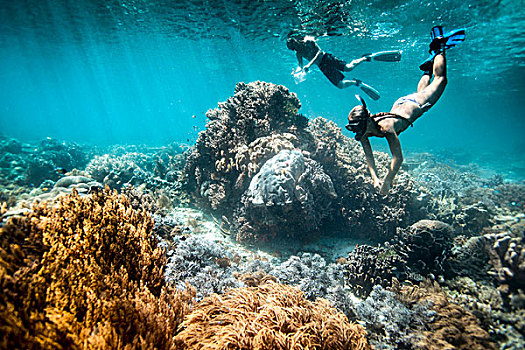 两个,水下呼吸管,表演,科学,珊瑚,礁石,鱼,四王群岛,西巴布亚,印度尼西亚